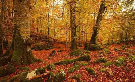 visitar navarra con niños|8 LUGARES QUE VISITAR EN NAVARRA。